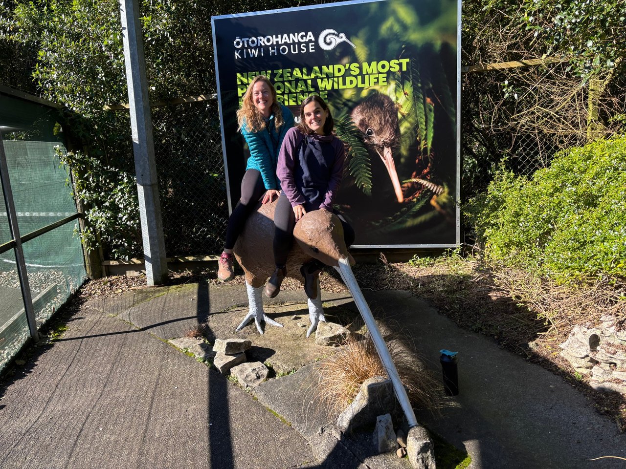 Māngere Bridge — Polynesian Adventures!