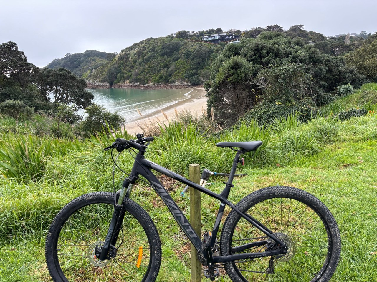 Day 4: Tour de Waiheke Island — Polynesian Adventures!