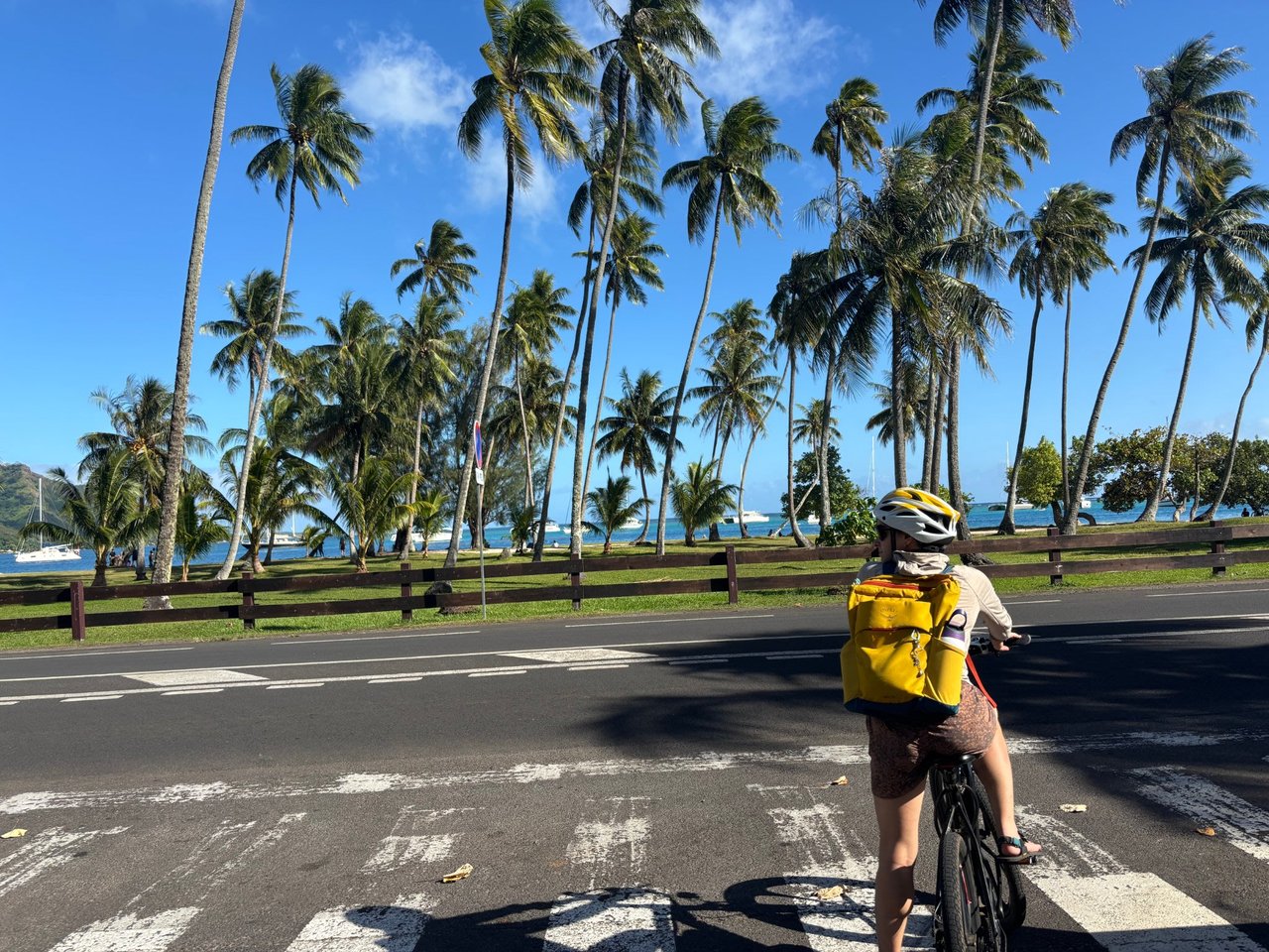 Day 2: Biking around the island — Polynesian Adventures!