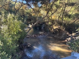 Kerosene Creek