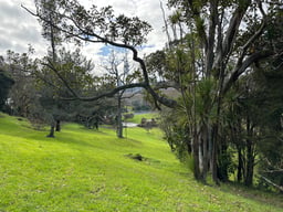 Auckland, Auckland