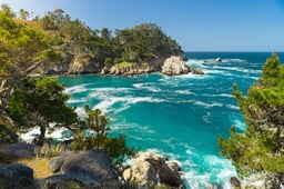 Point Lobos State Natural Reserve