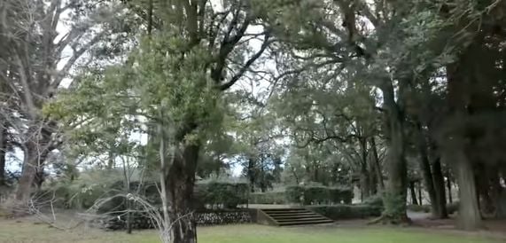 Ludwig · Episode 2 · Video still near 9:02. https://www.youtube.com/watch?v=KKnaizQsRNc&t=542