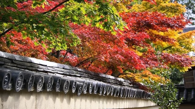 Daitokuji Hojo Garden · 大徳寺方丈庭園 — Japan's 36 Special Places of Scenic Beauty · 日本の特別名勝