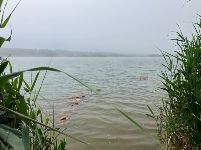 Sachem Pond — Day 2: Block Island