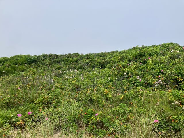 Andy's Way — Day 2: Block Island