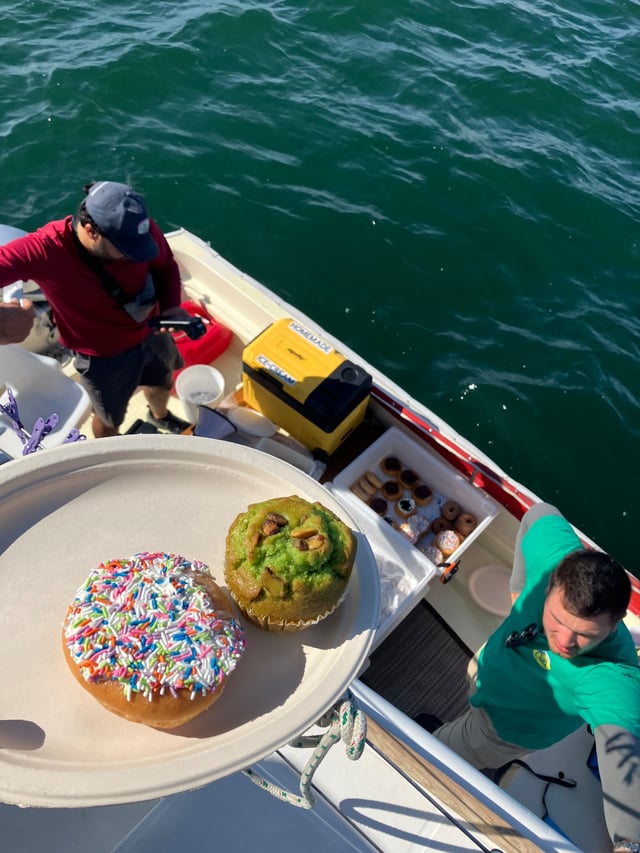 Aldo's baked goods delivery — Day 4: Block Island