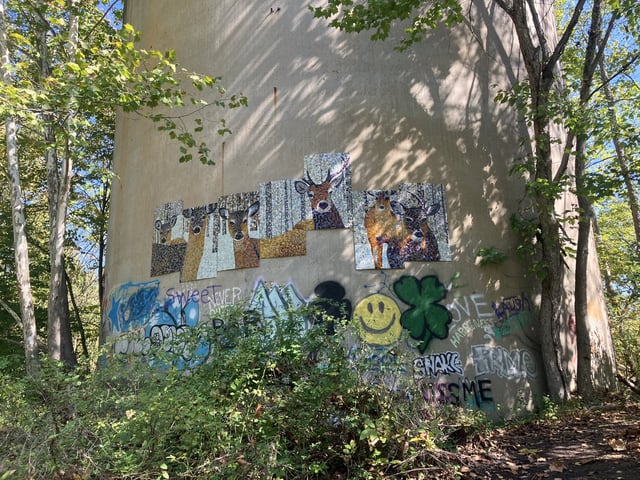 Day 7: West Newton, PA photo 5