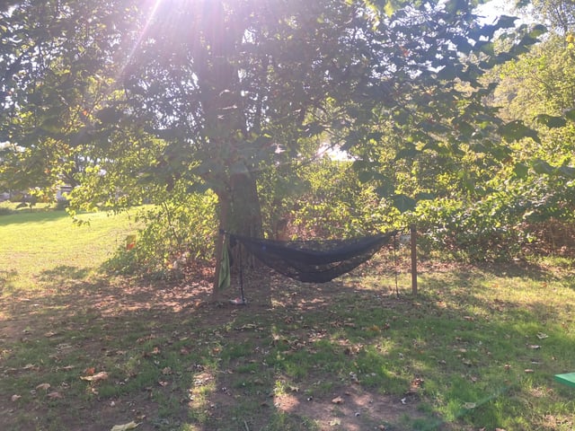 Day 7: West Newton, PA photo 7
