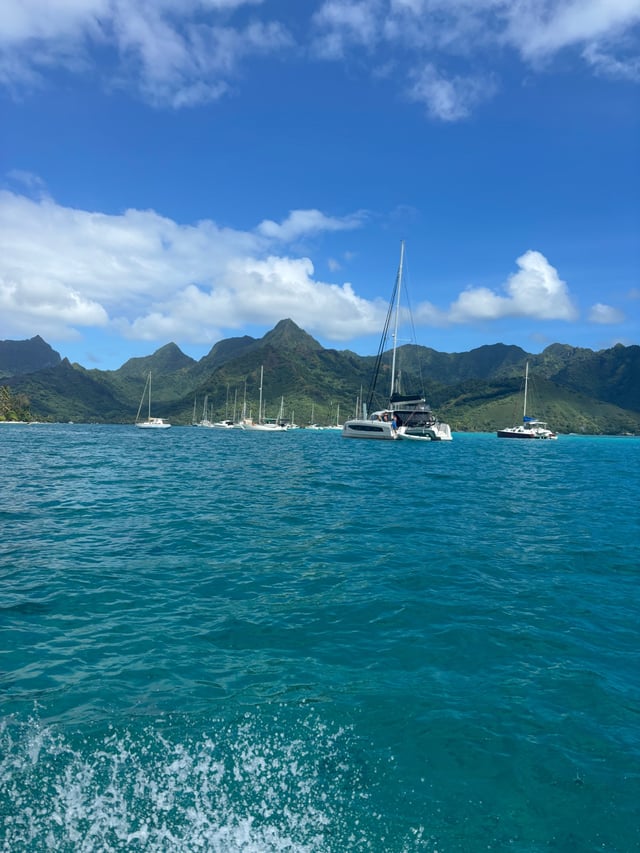 Boats Anchored in the Bay — Day 3: Boat Day!