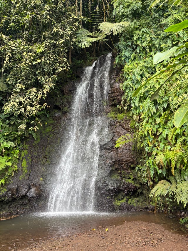 Water Gardens Waterfall — Day 1