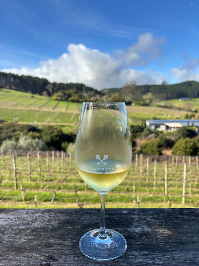 Tantalus Estate Chardonnay — Day 4: Tour de Waiheke Island