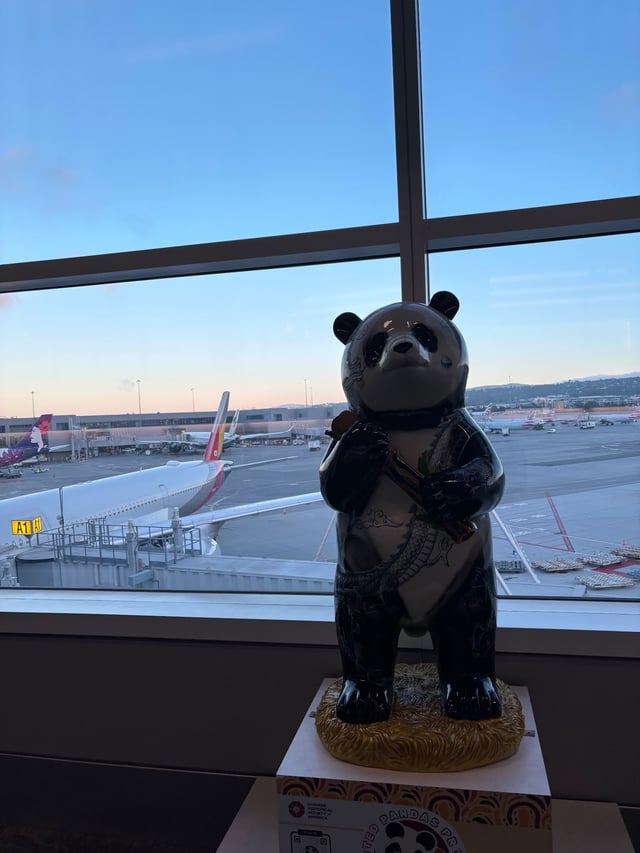 SFO photo 2