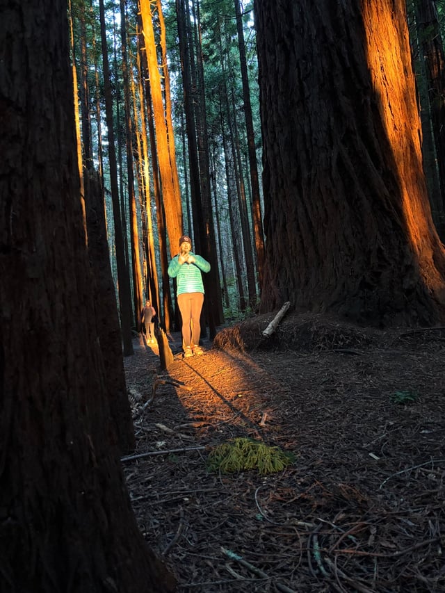 Soft evening glow in the redwoods featuring Molly and Michelle