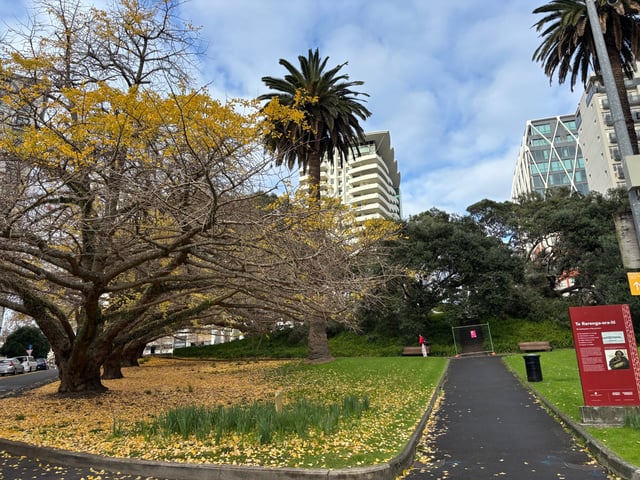 Emily Place Reserve — Day 2: Coast to Coast Walkway