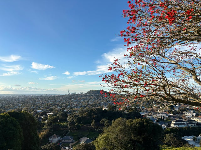 Te Tātua-a-Riukiuta (Big King Mountain) Overlook — Day 2: Coast to Coast Walkway