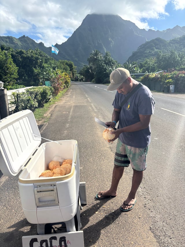 Fresh Roadside Coco Glace — Day 2: Biking around the island