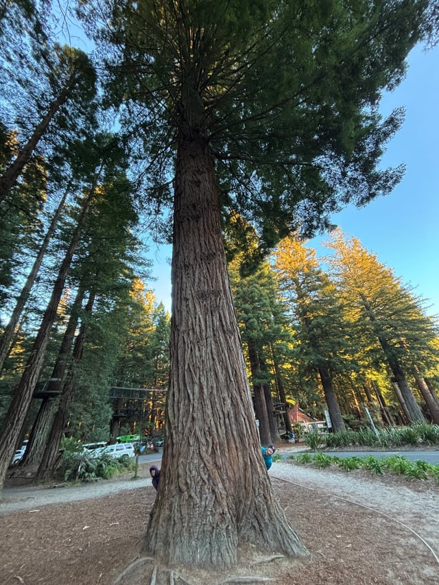 Redwoods — Day 1: Rainbow Mountain & Redwoods