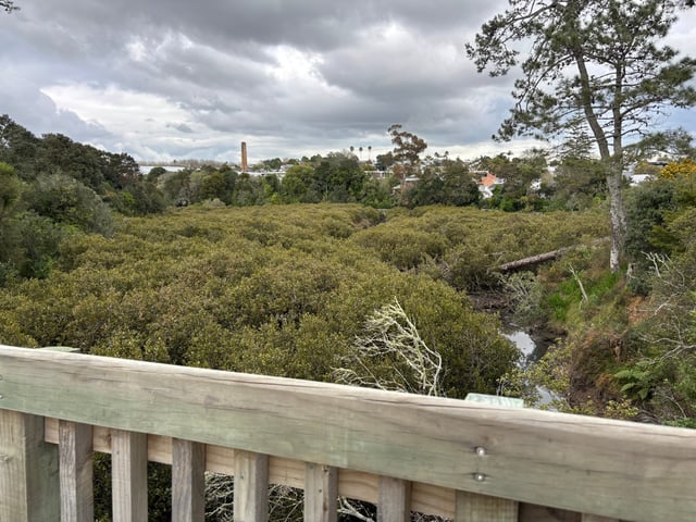 Overlook at Cox Bay Preserve — Day 1: Kia Ora