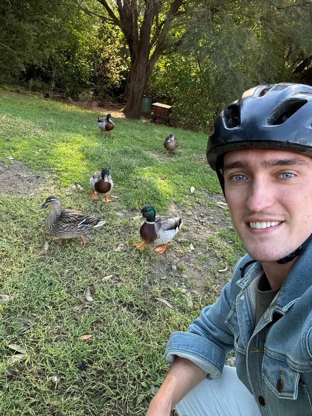 Quack Quack — Day 4: Tour de Waiheke Island