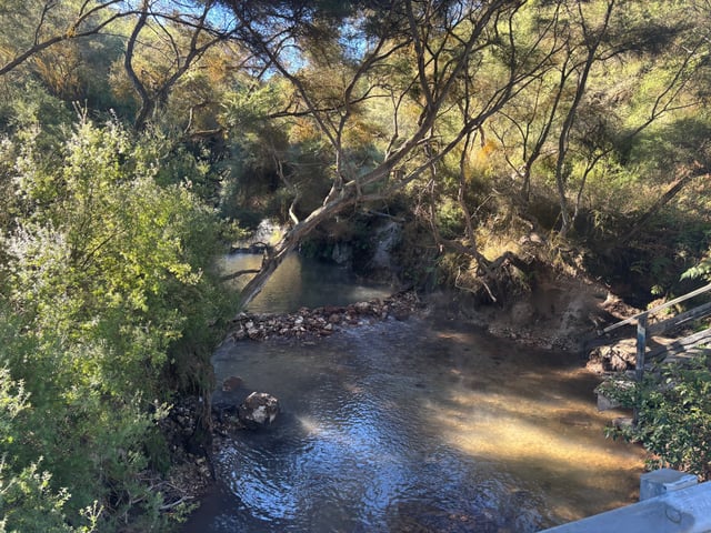Kerosene Creek — Day 2: Spa Day
