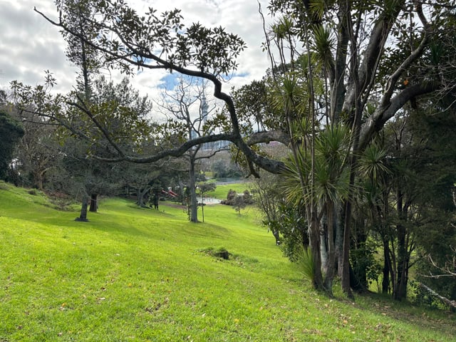 Auckland, Auckland — Day 3: J.A.F.A