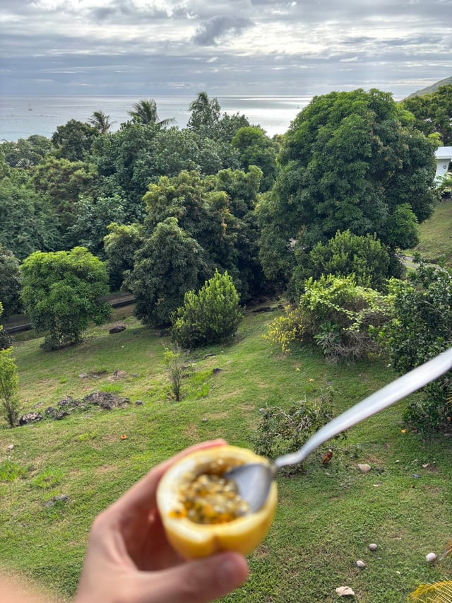 Passion Fruit at the Bungalow — Day 6: Na Na