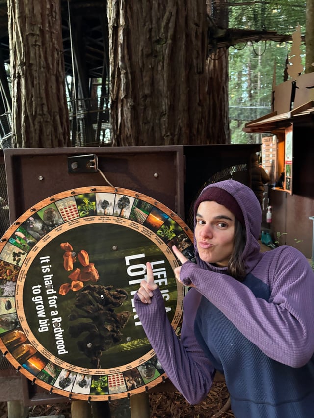 Michelle will grow into a big redwood someday - the prophecy has been foretold.