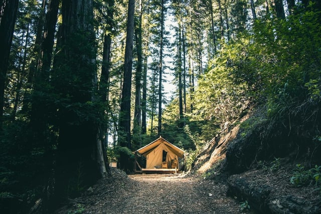 Big Sur Campground & Cabins — Big Sur Bike Trip - Demo